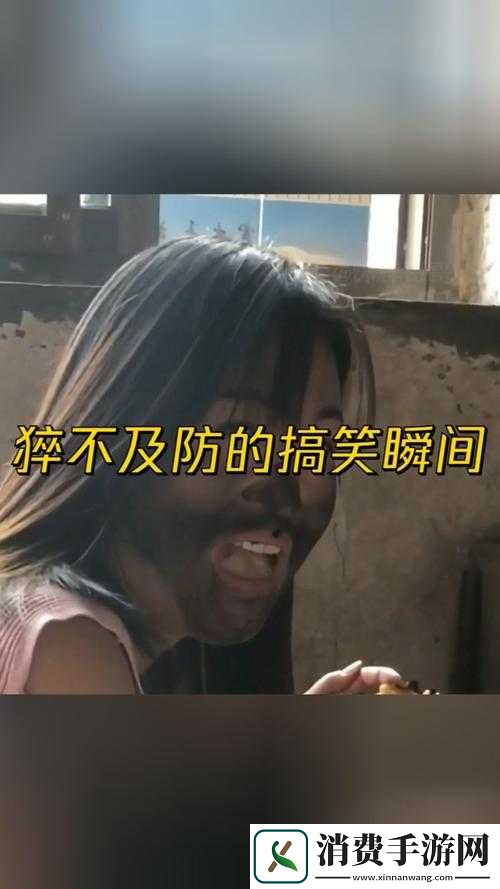 有哪些让你看一次笑一次的视频