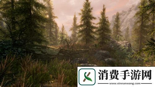 上古卷轴5皮革代码是什么