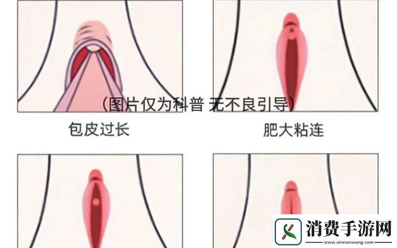 大荫蒂BBBBBB大荫蒂最新动态