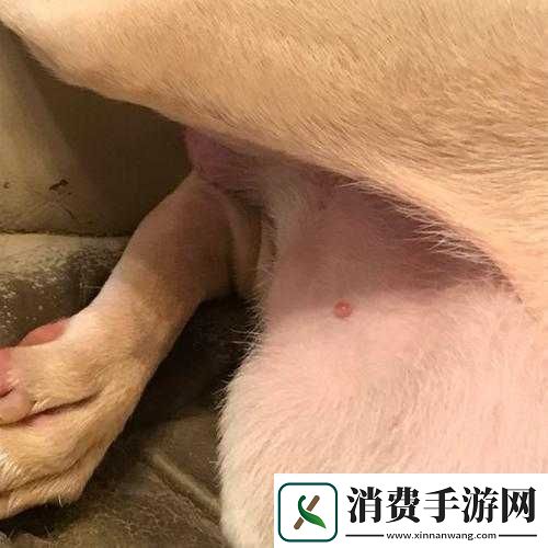 两个奶头打得红肿惩罚引发热议