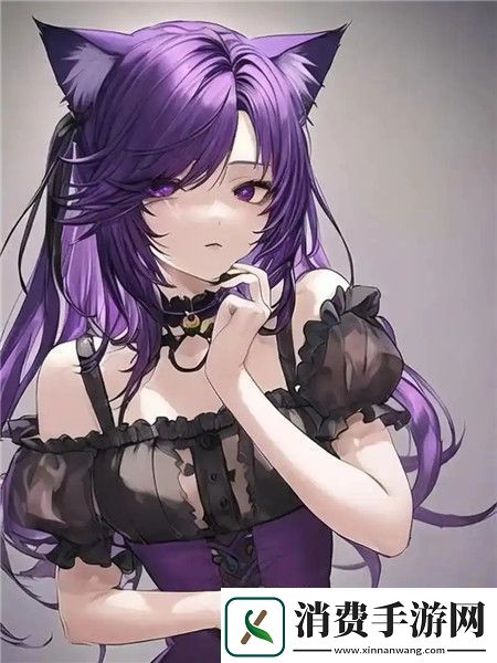 永久不收费免费的社交软件