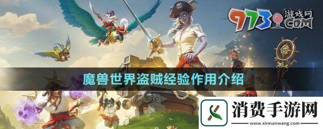 魔兽世界盗贼经验有什么用