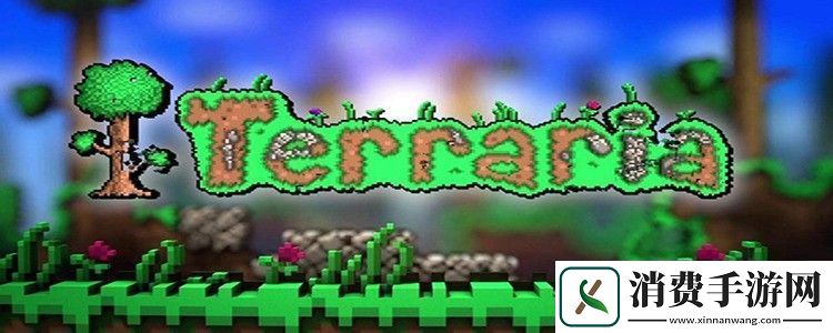 泰拉瑞亚痛苦亡魂怎么救