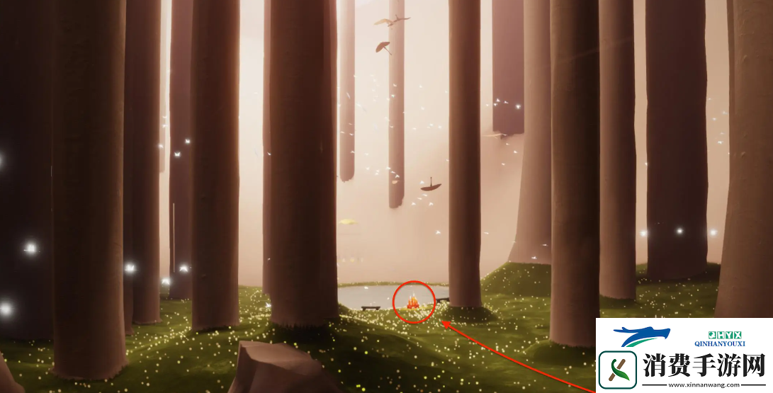 光遇11月19日大蜡烛位置攻略