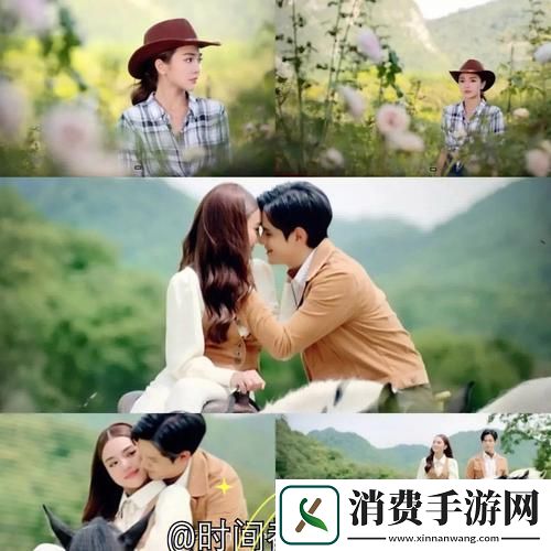 精彩纷呈大地资源二页在线观看免费版电视剧