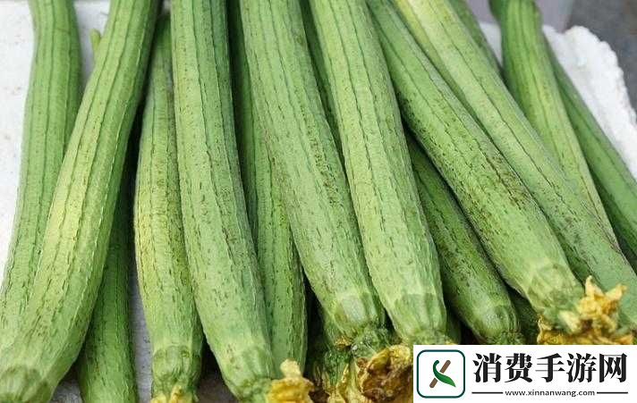 丝瓜秋葵视频在线观看：揭秘健康蔬菜的烹饪技巧与营养搭配全解析