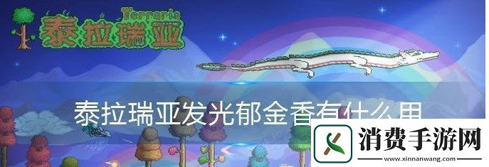 泰拉瑞亚发光郁金香用途