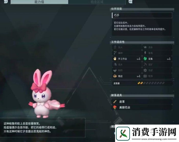 幻兽帕鲁姬小兔捕捉位置图文一览