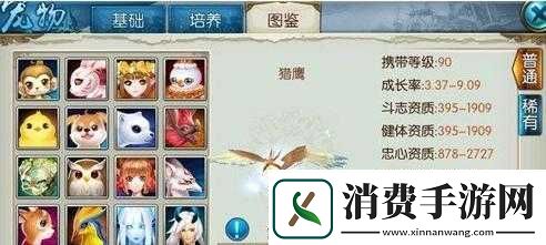 诛仙手游稀有猎鹰如何捕捉