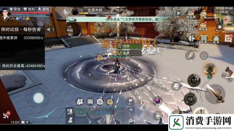 如何在一梦江湖手游中-华山对战武当PK时-实现资源管理与技巧的最大价值