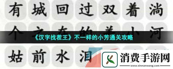 汉字找茬王梦龙版小芳怎么过-不一样的小芳通关攻略