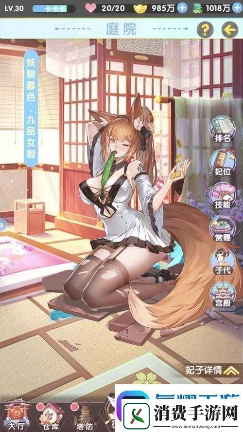 横扫三国HD新手必看-福利篇里隐藏了哪些不为人知的惊喜
