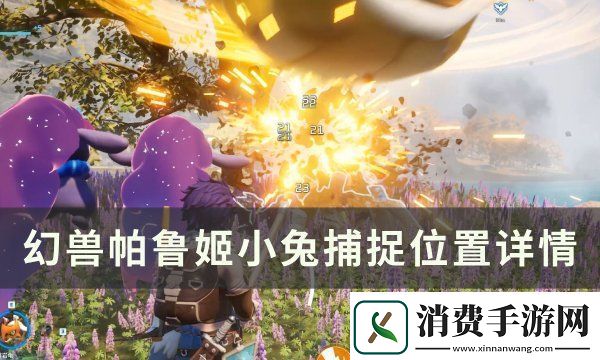 幻兽帕鲁姬小兔捕捉位置图文一览