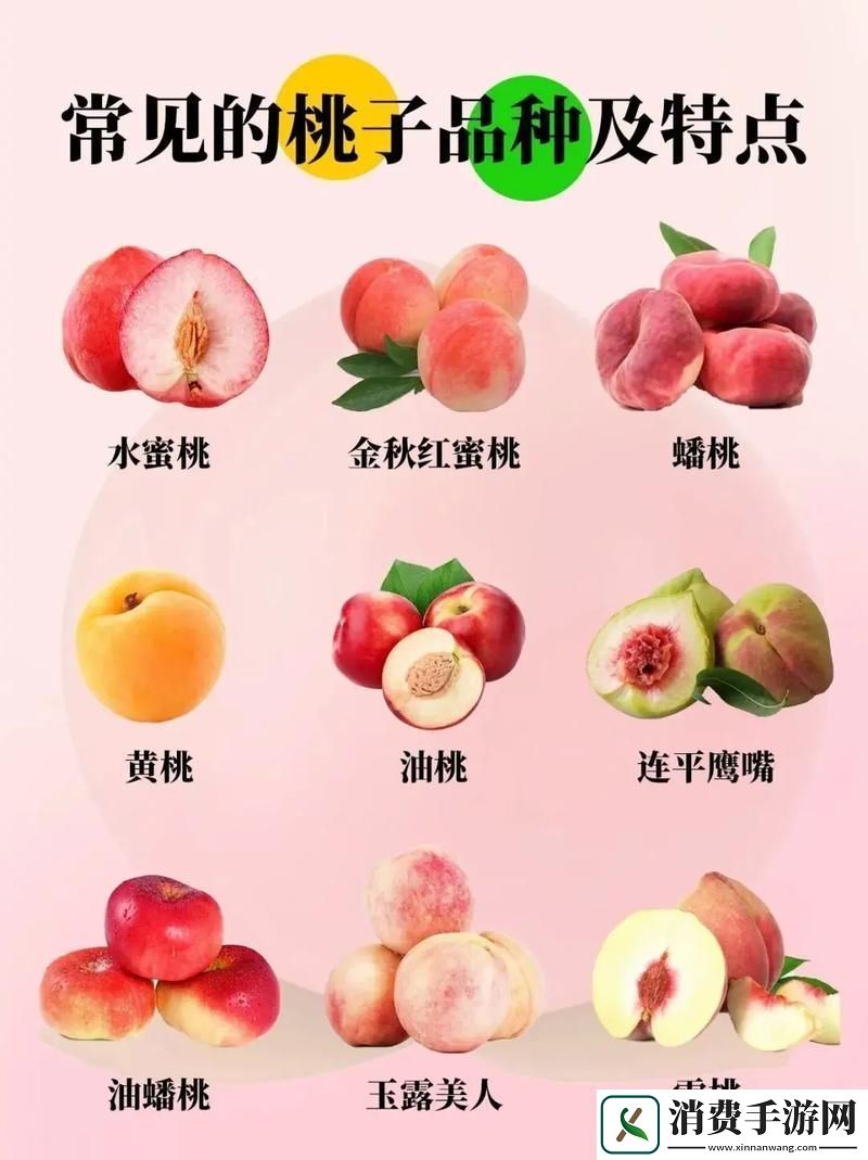 沁人心脾的水蜜桃2最经典的一句