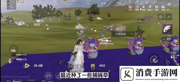 妄想山海捕蝇草刷新地点全揭秘