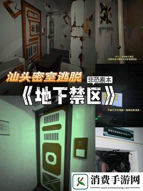 神秘入口通道背后的秘密基地究竟隐藏着怎样的秘密-快来一探究竟
