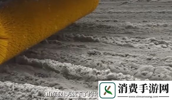 山东雨雪天气引热议