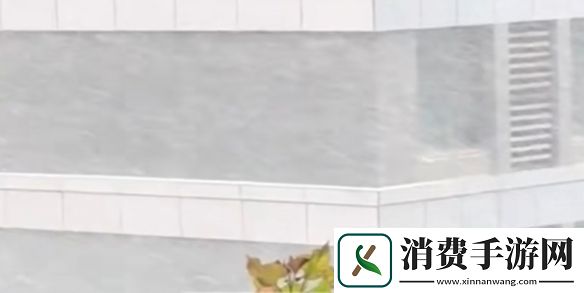 山东雨雪天气引热议