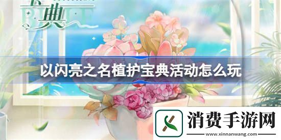 以闪亮之名植护宝典活动怎么玩