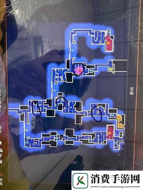 重生细胞壁垒出口究竟在何处