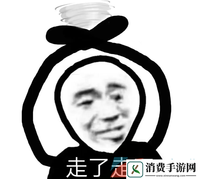 抖音机票太贵自己飞回去是什么梗