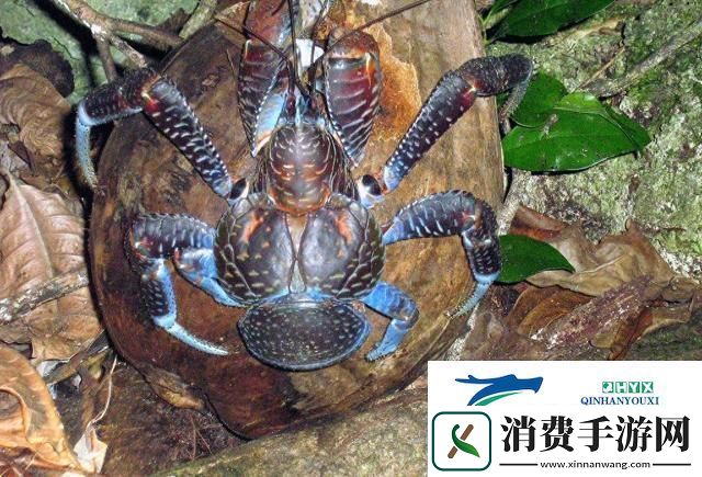 494949大但人文艺