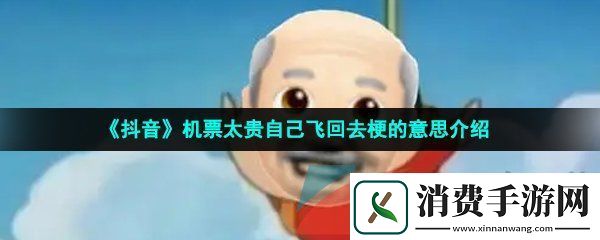 抖音机票太贵自己飞回去是什么梗