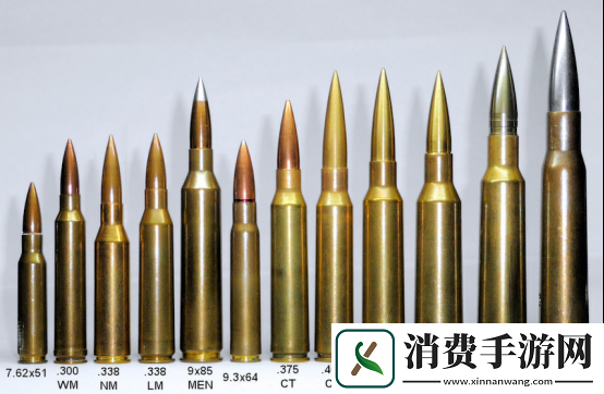 AWM狙击步枪威力巨大-它究竟使用的是哪种神秘子弹