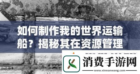 如何制作我的世界运输船-揭秘其在资源管理中的关键性及高效运用策略