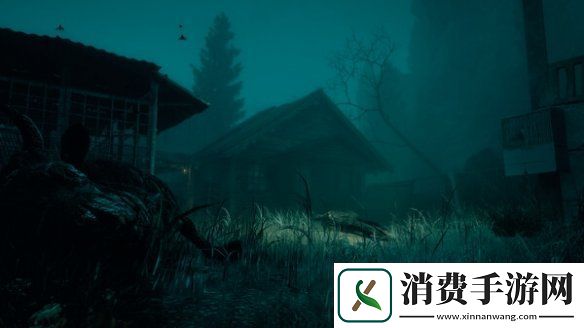 心理恐怖游戏诡岛灵探宣布跳票!延期至2026年发售