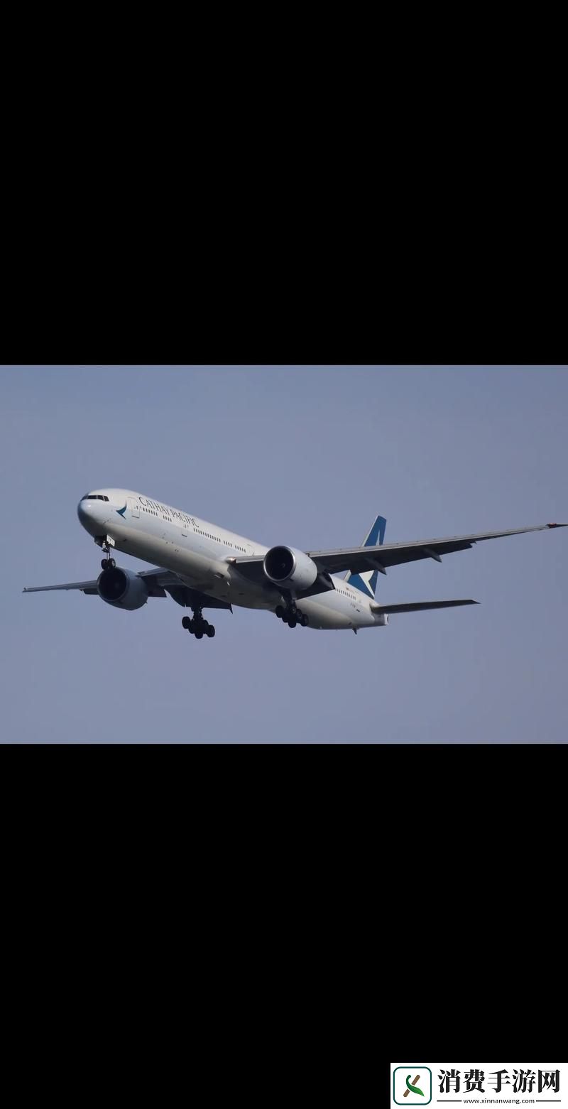 探索数字潮流新风向——“7777视频”的魅力