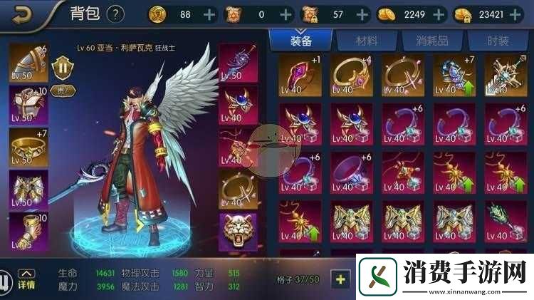 阿拉德之怒翅膀获取途径揭秘-深度解析如何轻松拥有炫酷翅膀
