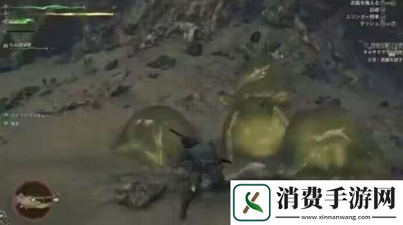 怪物猎人荒野蜘蛛恐惧症模式是什么