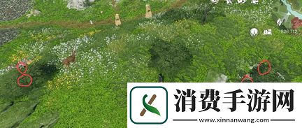 逆水寒仙居原4种动物好感度速刷攻略分享