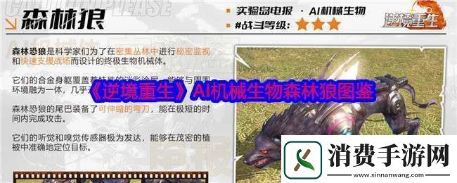 逆境重生森林狼怎么样