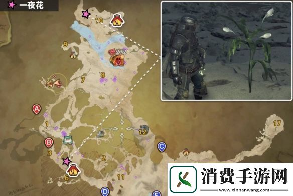 怪物猎人荒野一夜花的月华粉在哪