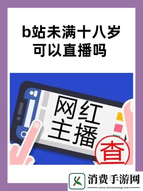 B站未满十八岁不能消费