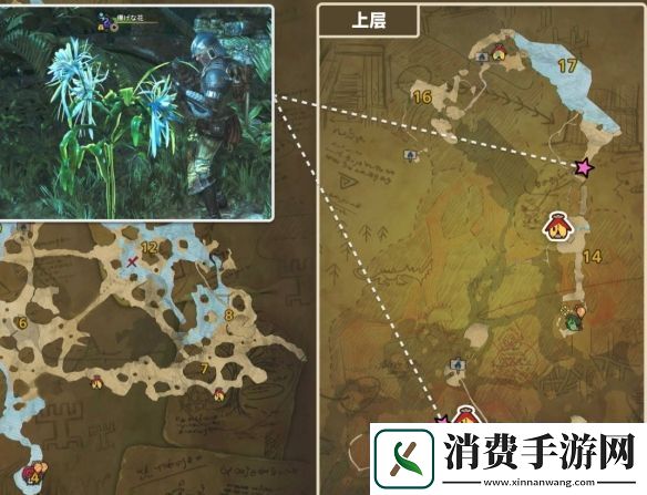 怪物猎人荒野一夜花的月华粉在哪