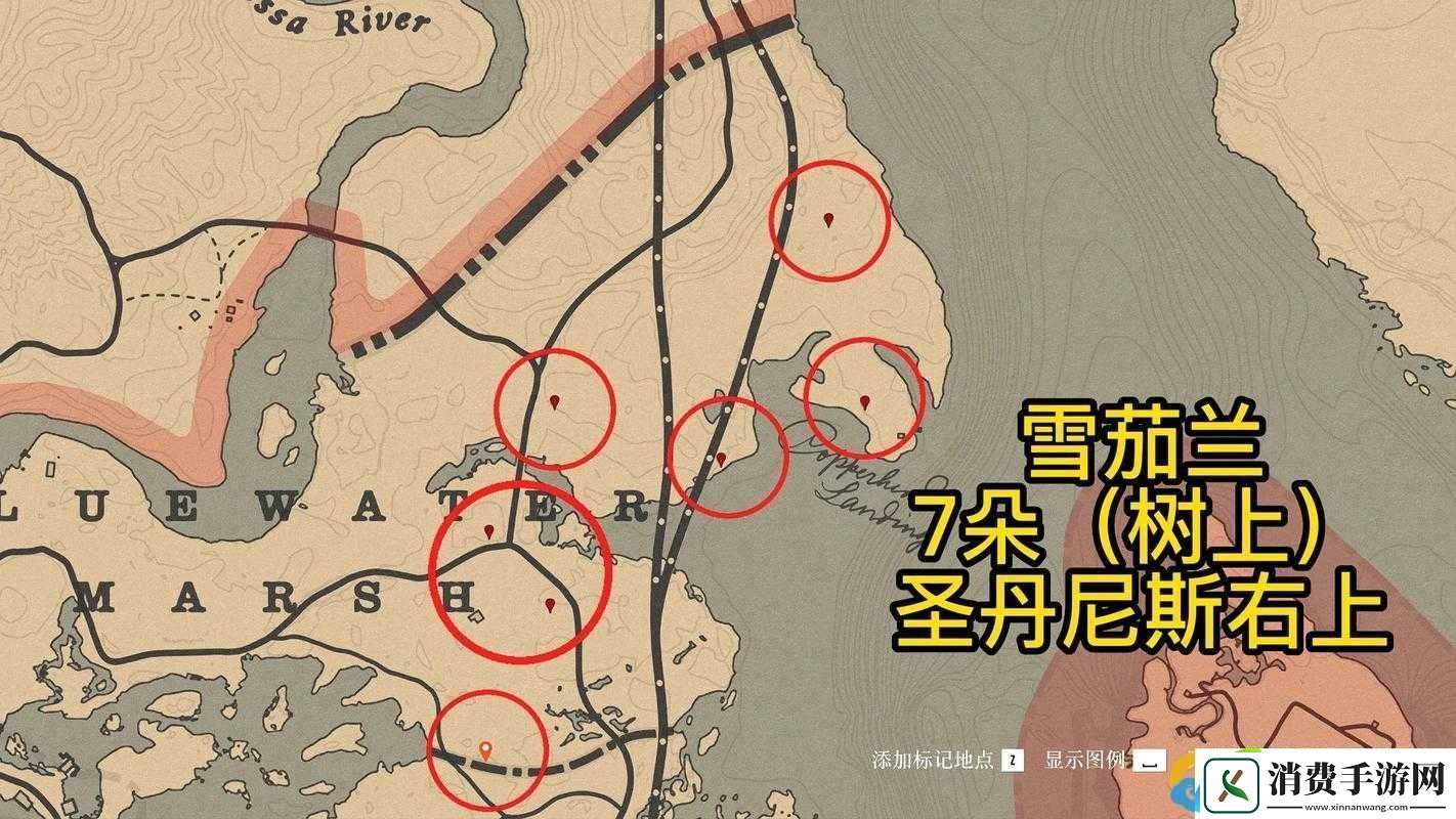 荒野大镖客2雪茄兰究竟藏身何处-获取方法与深度解析揭秘！