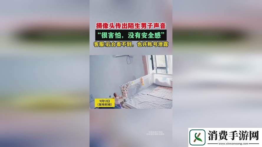 深入解析“8x8x海外华为永久