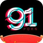 91入口是什么：探索丰富的在线资源平台