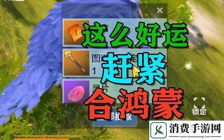 如何在妄想山海中成功获取红武