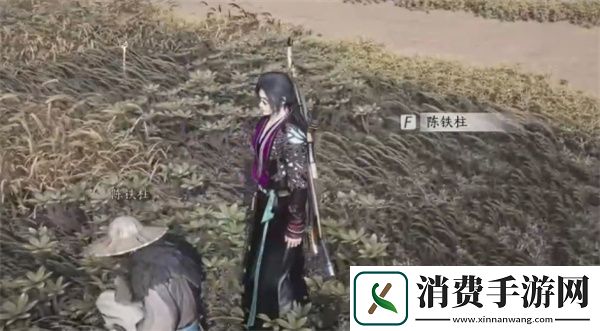 燕云十六声田中生金任务完成方法分享
