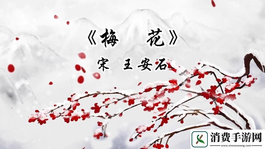 畅享梅花视频旧版本下载