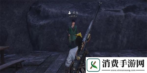 燕云十六声胡大聊天对话攻略分享