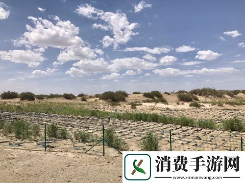 无人区和红桃7有什么区别