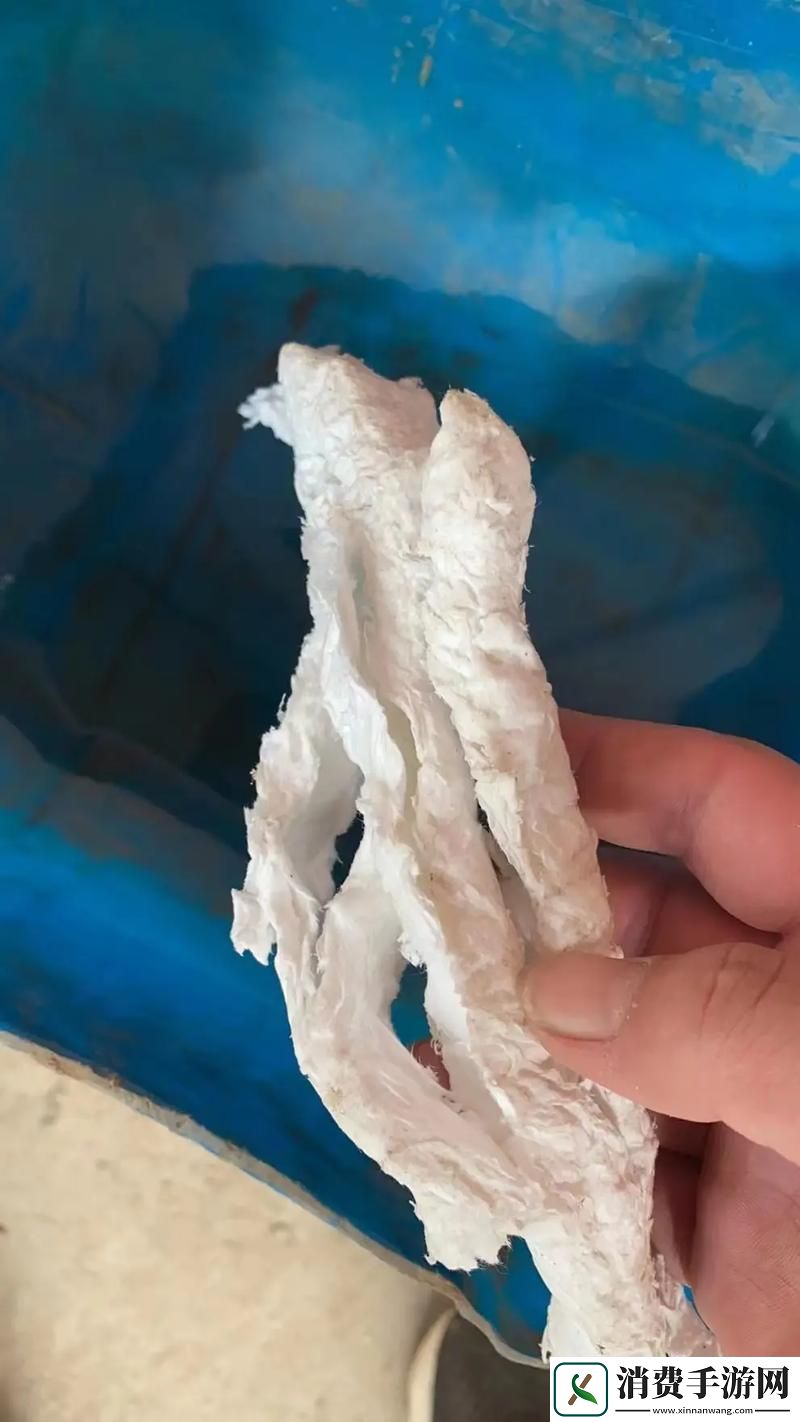 探索“18流白浆和小蘑菇”的奇妙世界