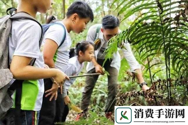 奇幻森林究竟有何魅力？深度解析森林小队冒险之旅的好玩之处