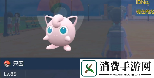 宝可梦朱紫怎么给宝可梦改名