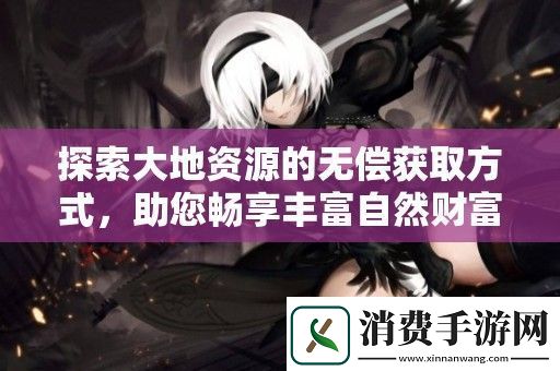 探索大地资源的无偿获取方式